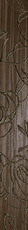 edilcuoghi identity