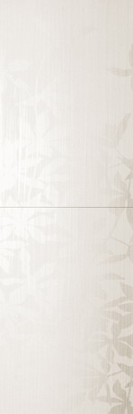   edilcuoghi identity