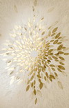 edilcuoghi new light