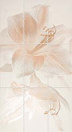   Iris Romantica.  romantica comp bloom salmone