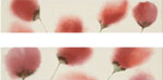  Lord day Listello fiori