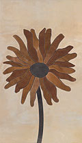   Porcelanite Dos 6008