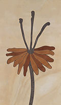   Porcelanite Dos 6008