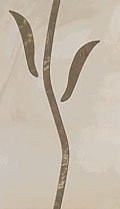  Porcelanite Dos 6008