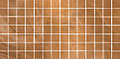   Porcelanite Dos 6008