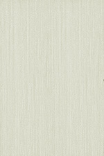  Venis Silk