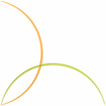   Viva Estro Armonico