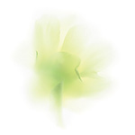 Керамическая плитка Viva Fleurs