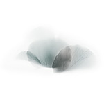 Керамическая плитка Viva Fleurs