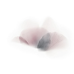 Керамическая плитка Viva Fleurs